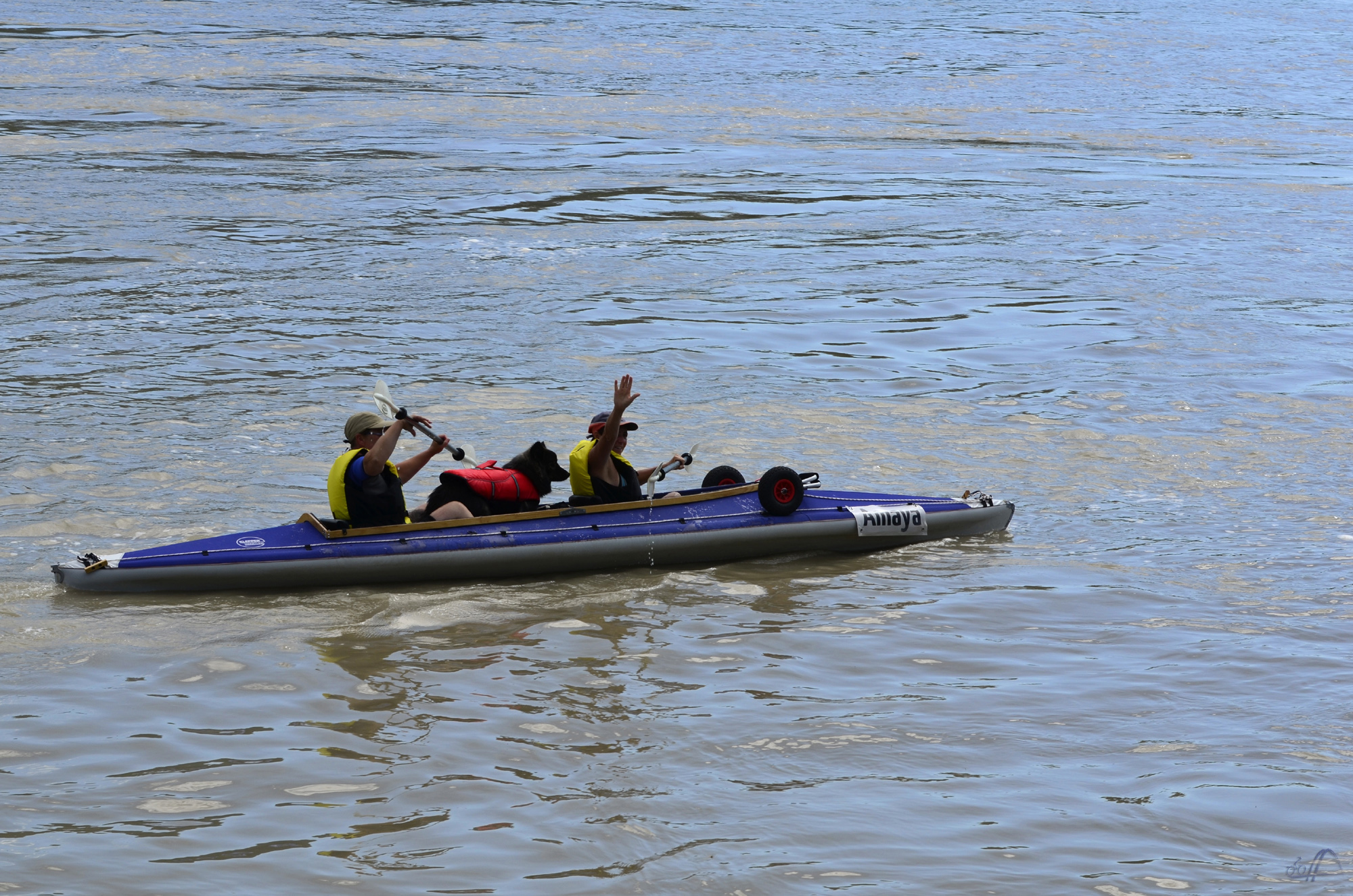 2er-Kanu mit Steuerhund auf der Donau