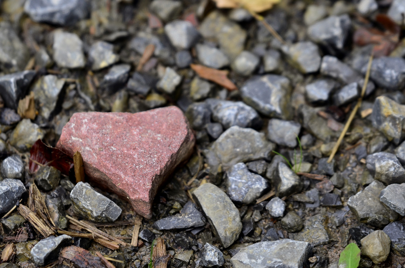 Ein Herz aus Stein